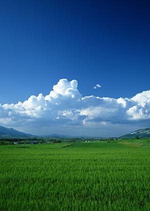 家族葬を徳島県で行いたいときには