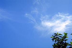 静岡市の安心・信頼の葬儀サービス【富士葬祭静岡】：多彩な式典と丁寧なサポートで送る最適な葬儀プラン