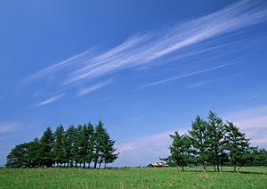 静岡市清水区の家族葬に最適な葬儀場｜富士葬祭折戸の特徴と利点、店舗情報