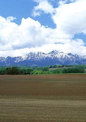 静岡市で安心の家族葬を実現！富士葬祭 唐瀬の特徴とサービス内容紹介