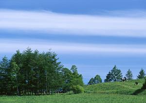 静岡県焼津市に新たにオープンした家族葬専門ホール「家族葬のタクセル焼津」の詳細と特徴