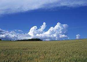 静岡市にある高級感あふれる葬儀場【富士葬祭 清水有東坂】の特徴とアクセス情報