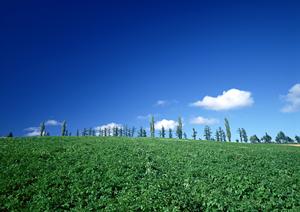 静岡市葵区の家族葬専門斎場|家族葬のタクセル丸山町の特徴と料金プラン