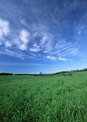 静岡市に根ざした信頼の葬儀サービス 富士葬祭 豊田の詳細ガイド