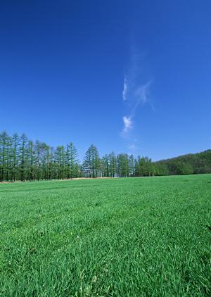 藤枝市の家族葬・斎場の専門【富士葬祭藤枝】:安心の葬儀サービスと便利なアクセス情報