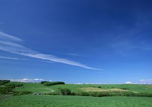 静岡市葵区の家族葬に最適な斎場【家族葬のタクセル長沼】:安心と低価格を実現する最新型葬儀場