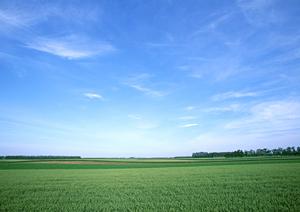 静岡県藤枝市の家族葬に最適!富士葬祭 藤枝御苑の特徴とサービス内容