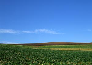 【静岡県島田市】心を込めたお見送りを実現する富士葬祭 島田の葬儀サービスと特徴紹介