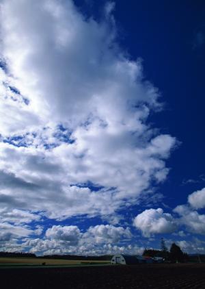 静岡県富士市に新登場！家族葬専門の斎場「家族葬のタクセル天間」の特徴と利用メリット