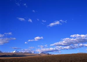茨城県筑西市の信頼と実績の葬儀場｜さがみ典礼 筑西ホールの特徴と施設情報