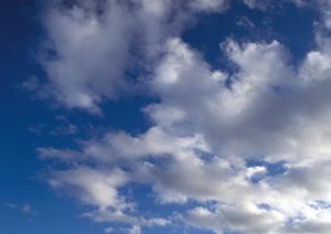 浜松市中央区における信頼の葬儀サービス：富士葬祭 高林の全貌と魅力