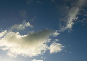 静岡県富士宮市に根差す信頼の葬儀サービス：富士葬祭 田中町の特徴と詳細解説