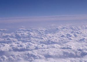 403 Forbiddenエラーの原因と解決策：ウェブサイトアクセス制限の理解と対処法